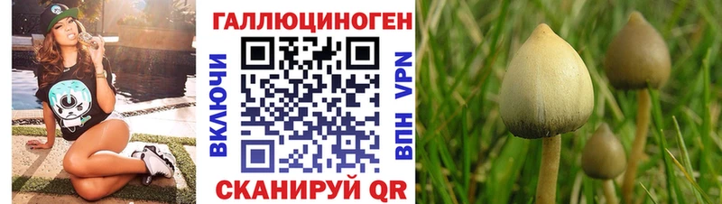 Галлюциногенные грибы GOLDEN TEACHER  Грайворон 