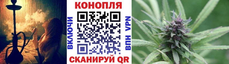 МАРИХУАНА планчик  где найти наркотики  Грайворон 